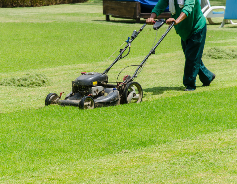 Lawn Mowing